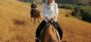  Stay and Horse Ride Special 